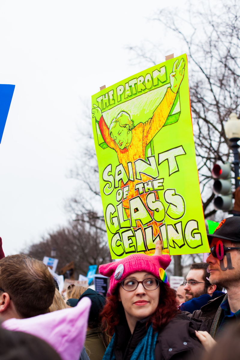 Illustration for article titled WOMEN'S MARCH ON WASHINGTON : THE SIGNS
